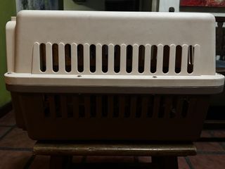 (Category: ) located in . Submitted by limebasil (Listing ID 1431730587, Image 1). Description: .