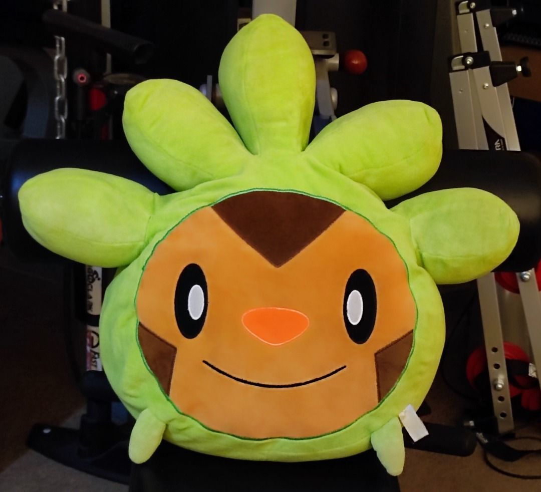 Pokemon Center Large Face Cushions (Froakie Chespin Fennekin), Hobbies ...