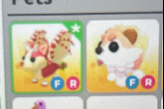 (Category: ) located in . Submitted by adoptmesg (Listing ID 1431723232, Image 1). Description: .