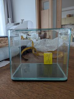 (Category: ) located in . Submitted by sam.miller (Listing ID 1431619443, Image 1). Description: .