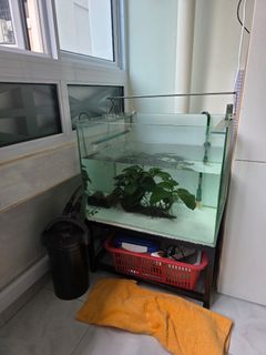 (Category: ) located in . Submitted by jamesang2266 (Listing ID 1431585440, Image 1). Description: .