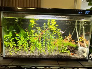 (Category: ) located in . Submitted by gan6737 (Listing ID 1431588974, Image 1). Description: .