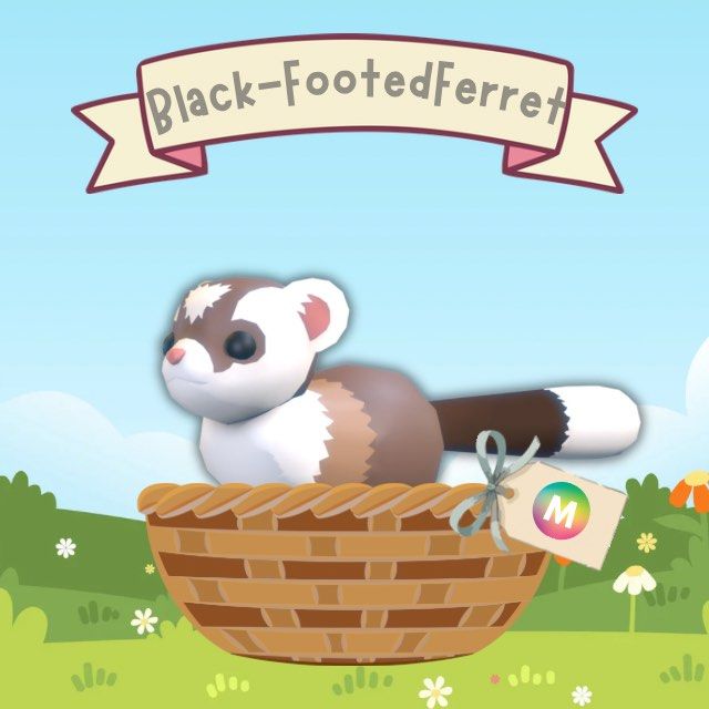 Adopt Me! MEGA Black-Footed Ferret (Category: In-Game Products) located in Quezon City. Submitted by a.shops (Listing ID 1431909347, Image 1). Description: Adopt your very own Mega Black-Footed Ferret 🖤🦦🌈 ☺️ Personality: super clingy yet mischievous! 💙 Loves: zooming around, stealing attention, cozy naps after chaos 🚫 Hates: being ignored, empty food bowls Adoption fee: ₱100.00 Payment first policy!.