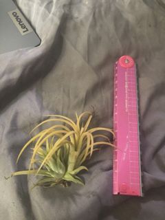 （分類：）位於 。 由 ryanhcchan1234 提交（商品編號 1431822783，圖片 1）。簡介： 。