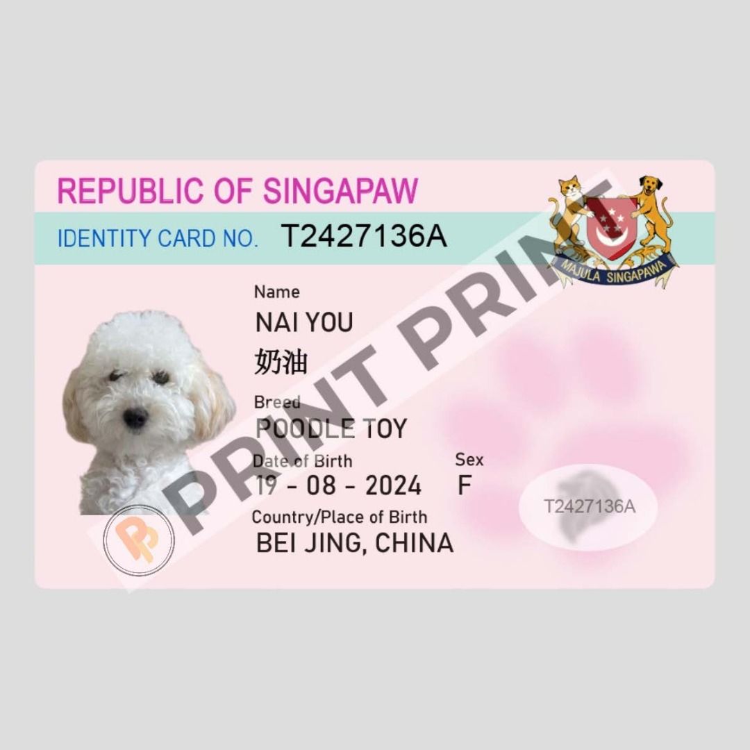 Customised Pet ID IC NRIC Custom Singapore Pet IC ID Pet Name Tag Dog ...