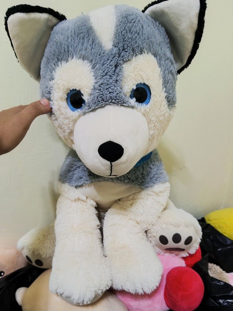 Husky Stuffed Toy - Large Size (Category: Plushies & Soft Toys) located in Caloocan City. Submitted by youngdog_7a3ee7 (Listing ID 1431984331, Image 1). Description: - Cute husky stuffed toy - Blue and gray color scheme - Bright blue eyes - Comes with a blue collar - Made of soft plush material - Large size, perfect for cuddling.