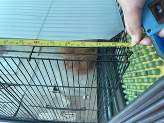 (Category: ) located in . Submitted by aleow (Listing ID 1431856785, Image 1). Description: .