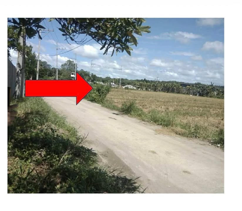 (Category: ) located in . Submitted by everbrightph_09171681688 (Listing ID 1431888644, Image 1). Description: .