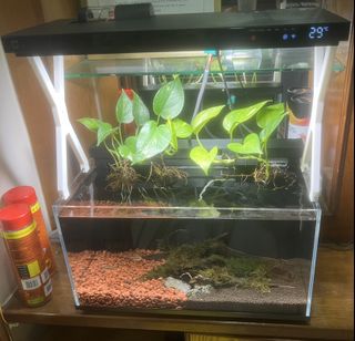 (Category: ) located in . Submitted by john_leehan (Listing ID 1431916197, Image 1). Description: .