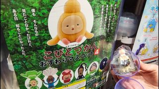 （分類：）位於 。 由 benybeny002 提交（商品編號 1432143785，圖片 1）。簡介： 。