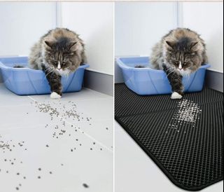 (Category: ) located in . Submitted by petstyle888 (Listing ID 1432096328, Image 1). Description: .
