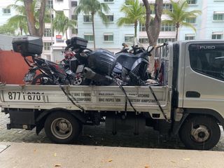 (Category: ) located in . Submitted by we.rescue (Listing ID 1432122793, Image 1). Description: .