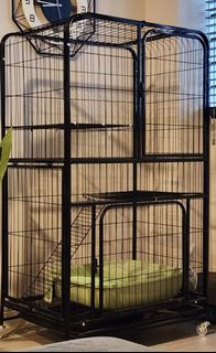 (Category: ) located in . Submitted by fudge09758 (Listing ID 1432009534, Image 1). Description: .