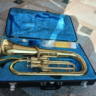（分類：）位於 。 由 affordable_musical_instruments 提交（商品編號 1432020897，圖片 1）。簡介： 。