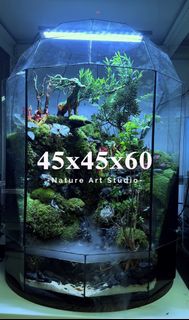 (Category: ) located in . Submitted by nature_art_studio (Listing ID 1432355221, Image 1). Description: .