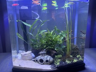 (Category: ) located in . Submitted by cj4457 (Listing ID 1432365004, Image 1). Description: .