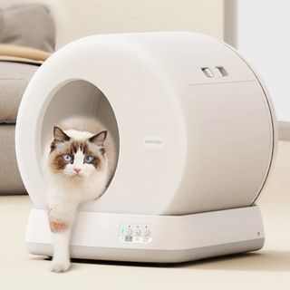 （分類：）位於 。 由 vvaa.chow 提交（商品編號 1432301198，圖片 1）。簡介： 。