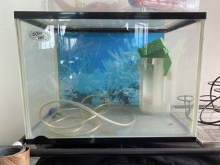 (Category: ) located in . Submitted by lwhrach (Listing ID 1432245374, Image 1). Description: .
