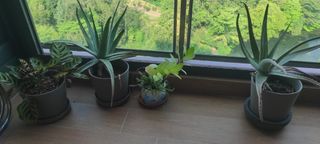 (Category: ) located in . Submitted by martaarbr86910 (Listing ID 1432212998, Image 1). Description: .