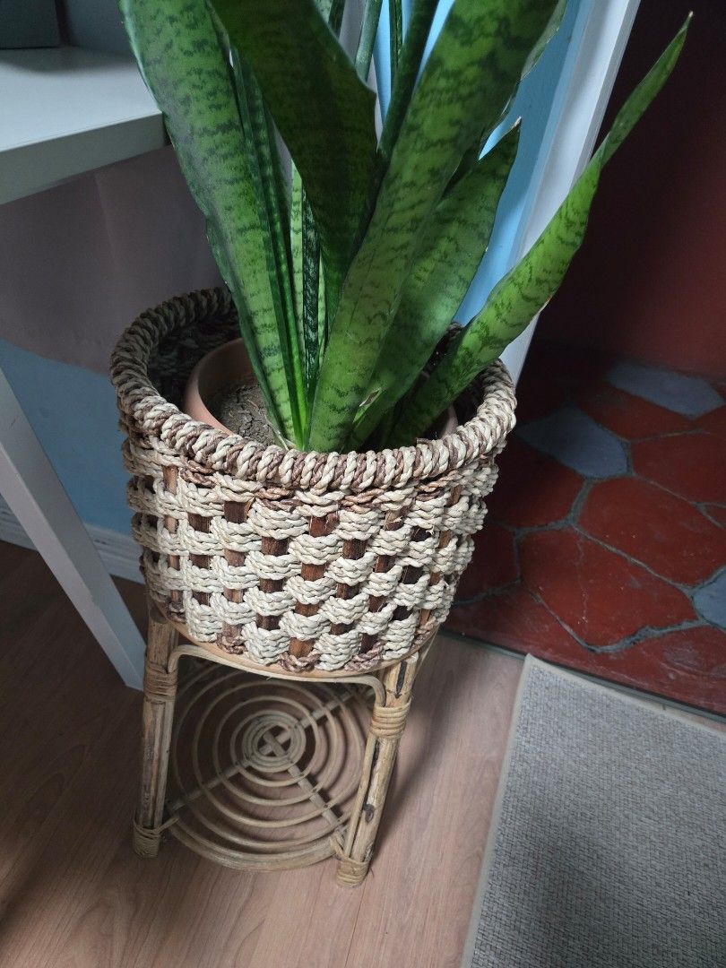 Woven Plant Basket(Rattan) (Category: Pots & Planters) located in Manila. Submitted by llcd_declutters (Listing ID 1432323616, Image 2). Description: Good condition. rfs: decluterring, migrating soon.