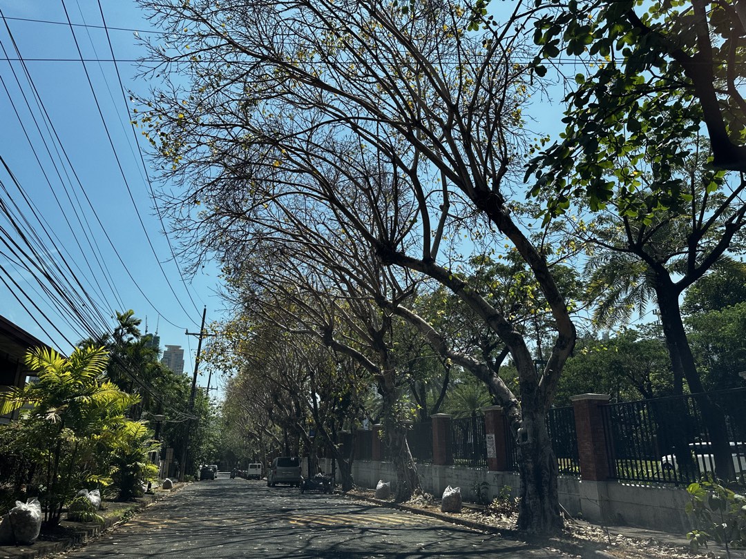 (Category: ) located in . Submitted by metrodwellings (Listing ID 1432556812, Image 1). Description: .