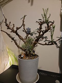 （分類：）位於 。 由 mcchilam 提交（商品編號 1432533492，圖片 1）。簡介： 。