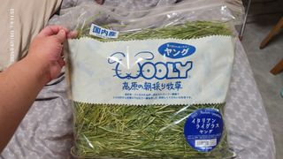 （分類：）位於 。 由 sellgoodsforlunch 提交（商品編號 1432568451，圖片 1）。簡介： 。