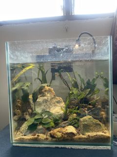 (Category: ) located in . Submitted by retrorummagethrift (Listing ID 1432438761, Image 1). Description: .