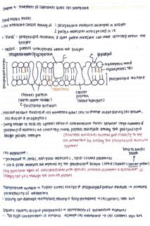 （分類：）位於 。 由 yumyumyum14 提交（商品編號 1432495992，圖片 1）。簡介： 。