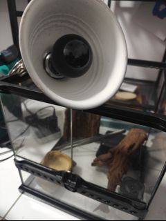 (Category: ) located in . Submitted by dean_7 (Listing ID 1432522105, Image 1). Description: .