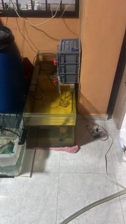 (Category: ) located in . Submitted by tangsan62238188 (Listing ID 1432549025, Image 1). Description: .