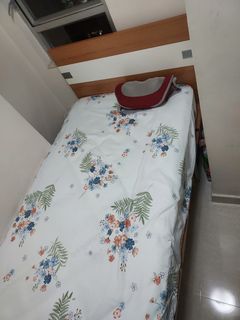 （分類：）位於 。 由 llleona 提交（商品編號 1432501447，圖片 1）。簡介： 。