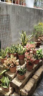 (Category: ) located in . Submitted by humc13 (Listing ID 1432593376, Image 1). Description: .