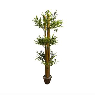 (Category: ) located in . Submitted by altonflowerscomm (Listing ID 1432697429, Image 1). Description: .