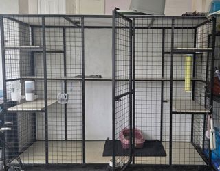 (Category: ) located in . Submitted by greypaw (Listing ID 1432613260, Image 1). Description: .