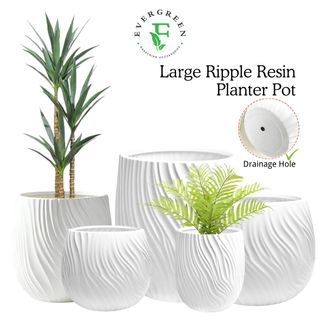 (Category: ) located in . Submitted by evergreen_gardening (Listing ID 1432650033, Image 1). Description: .