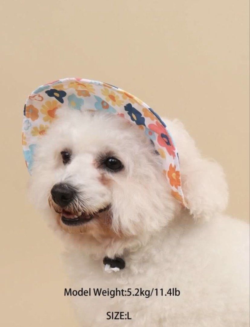 SHEIN Summer Floral Dog Hat (Category: Caps & Hats) located in Quezon City. Submitted by krstnclbnscs (Listing ID 1432761251, Image 1). Description: size: small.