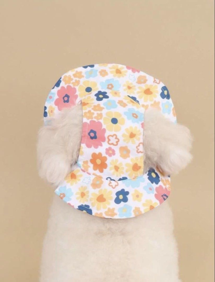 SHEIN Summer Floral Dog Hat (Category: Caps & Hats) located in Quezon City. Submitted by krstnclbnscs (Listing ID 1432761251, Image 2). Description: size: small.