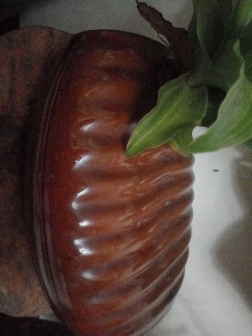 Vinatage water container stonware jar and display needs and collection (Category: Vases & Decorative Bowls) located in Manila. Submitted by padillahe35291 (Listing ID 1432690087, Image 2). Description: .