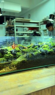 (Category: ) located in . Submitted by nature_art_studio (Listing ID 1432820335, Image 1). Description: .