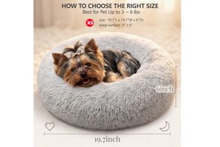 (Category: ) located in . Submitted by zandrabomb (Listing ID 1432865493, Image 1). Description: .