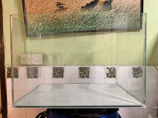 (Category: ) located in . Submitted by cookie3373 (Listing ID 1432804611, Image 1). Description: .