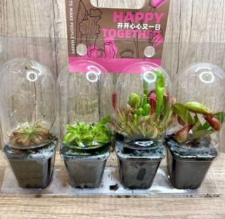 (Category: ) located in . Submitted by lushglassdoor (Listing ID 1432852562, Image 1). Description: .