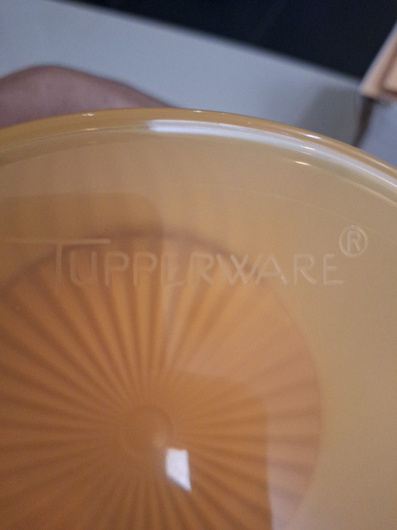 Tupperware Container with Lid459497189692549121