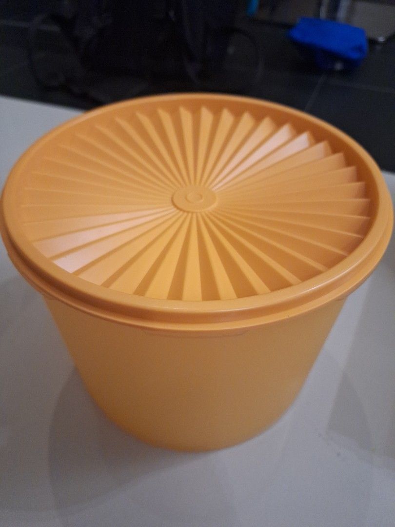 Tupperware Container with Lid459497189692549120