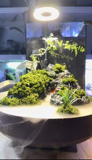 (Category: ) located in . Submitted by nature_art_studio (Listing ID 1432965314, Image 1). Description: .