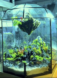 (Category: ) located in . Submitted by nature_art_studio (Listing ID 1432973560, Image 1). Description: .