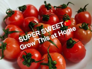 (Category: ) located in . Submitted by dealdeal8 (Listing ID 1433128930, Image 1). Description: .