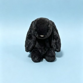Bashful Inky Bunny (M) Jellycat, Hobbies & Toys, Toys & Games on Carousell