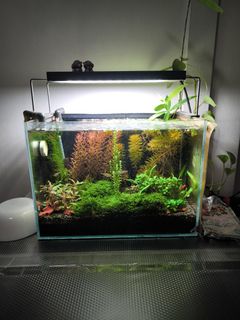 (Category: ) located in . Submitted by ming567 (Listing ID 1433066237, Image 1). Description: .